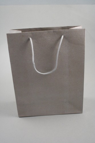 Silver Printed Kraft Paper Gift Bag with Black Cord Handles. Approx Size 24cm x 19cm x 8cm